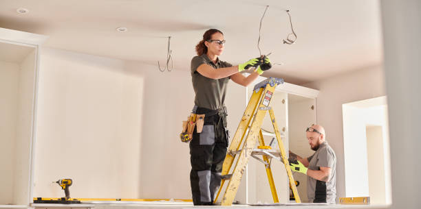 Best Electric Panel Repair  in Fillmore, UT